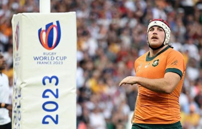 RUGBY. France, Irlande, Nouvelle-Zélande… Quelle dynamique pour les grands noms avant les épreuves ?