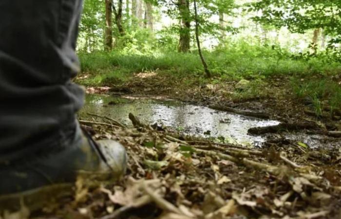 Incendies à proximité, seniors menacés, cimetières réaménagés… Parmi l’actualité du lundi 28 octobre au vendredi 1er novembre dans le Loiret