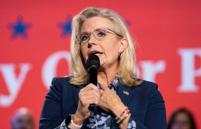 Donald Trump suggère de pointer une arme sur Liz Cheney, répond le républicain pro-Harris