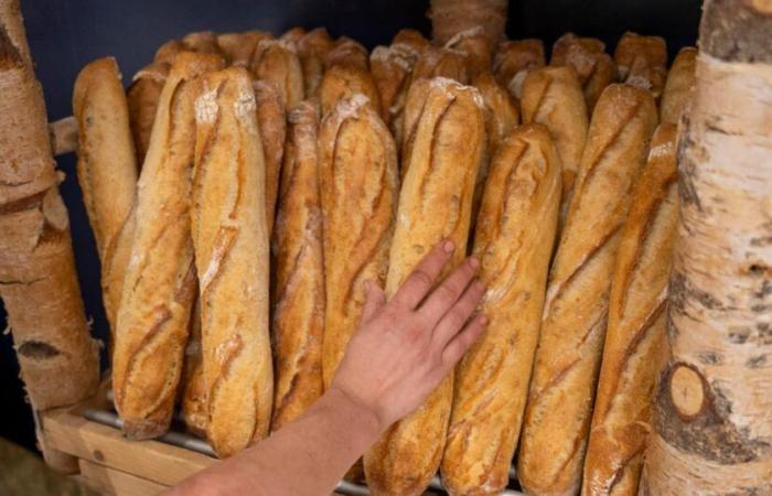 La France produit-elle toujours le meilleur pain du monde ?