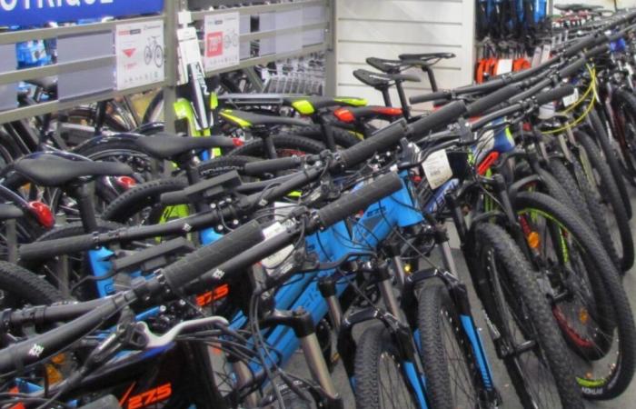 la marque Intersport propose des vélos à deux collèges