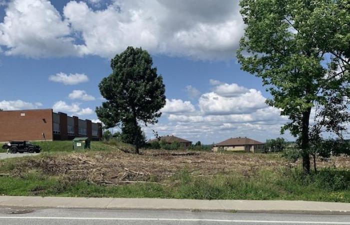 50 000 $ d’amendes pour des arbres coupés sans permis à Sherbrooke