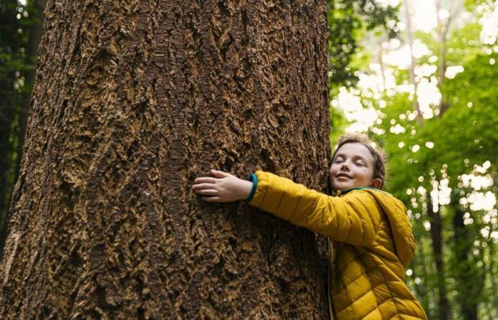 Pourquoi devons-nous développer notre empathie avec la nature ?