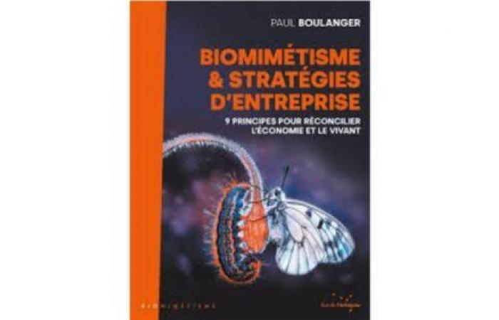 5 livres pour bousculer votre carrière et votre entreprise