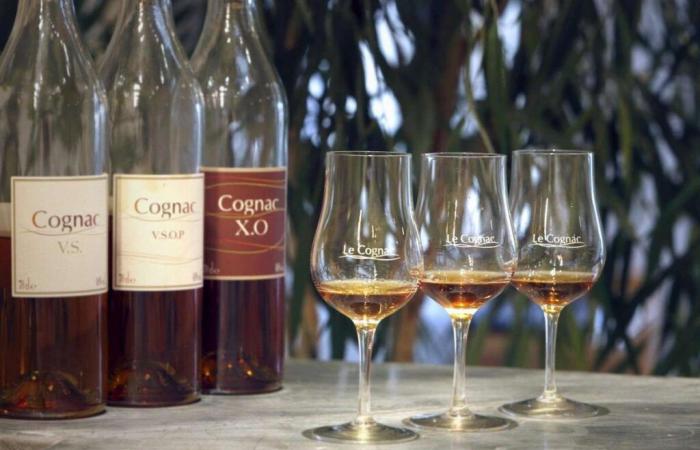 La France va tenter de protéger le secteur du cognac des représailles chinoises