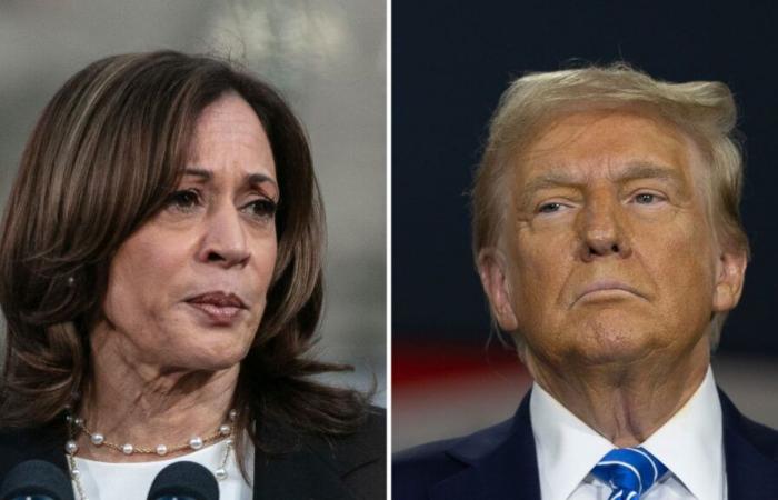 Sprint final pour Harris et Trump à quatre jours des élections présidentielles