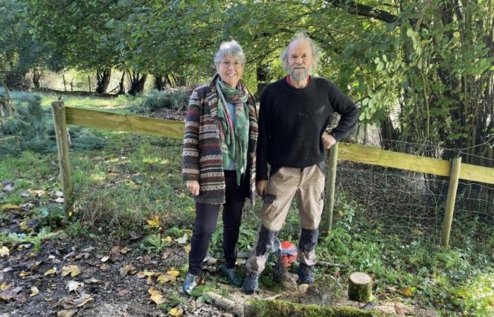 La Folêterie, un jardin extraordinaire dans l’Orne sculpté avec amour depuis 30 ans