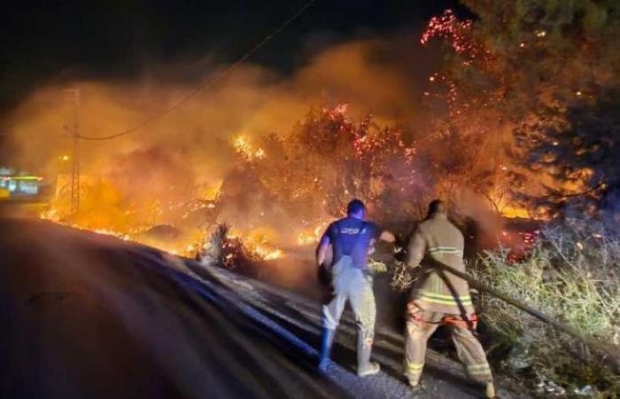 Incendie maîtrisé dans la forêt de Roumieh