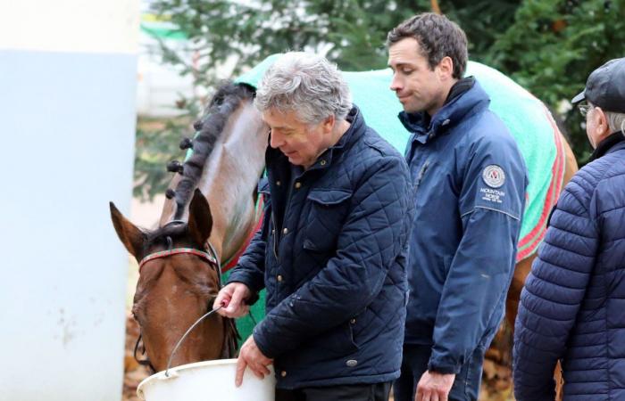 tout sur le meeting du Grand Prix de Nantes Défi du Galop