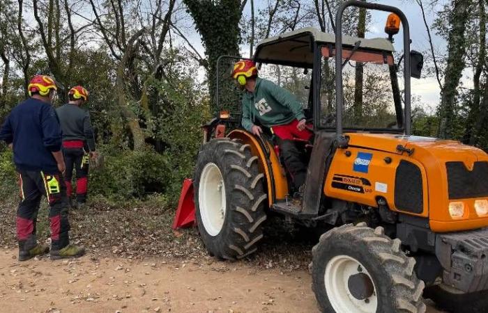 plus de 10 tonnes de branches retirées des cours d’eau