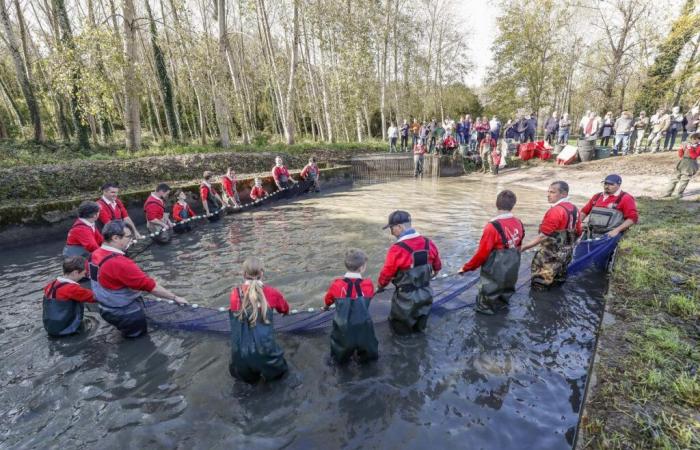 à Saint-Maigrin, un étang vide et du poisson tout frais à saisir