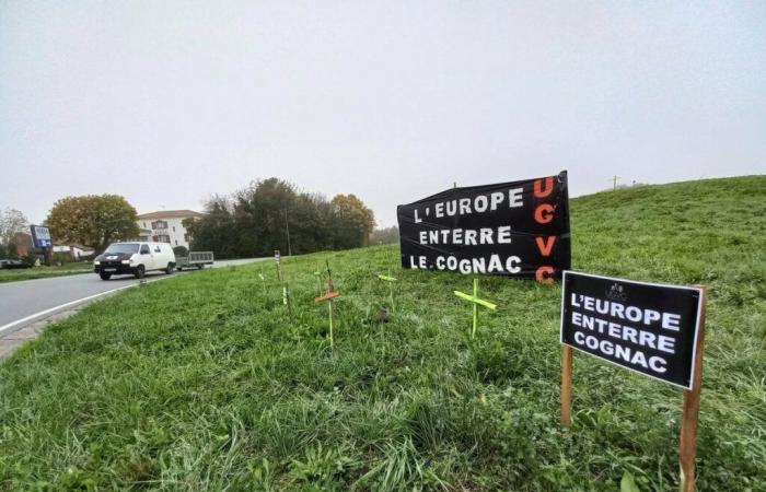 à Saintes, les vignerons manifestent leur colère