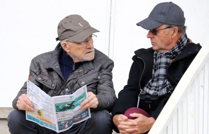 tout sur le meeting du Grand Prix de Nantes Défi du Galop