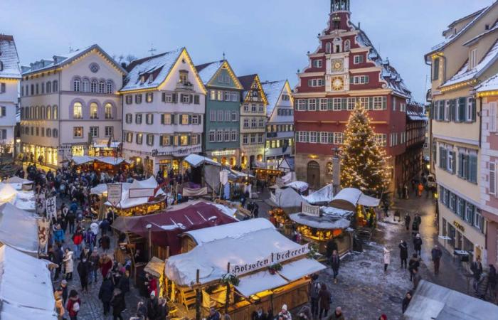 Aldi organise un marché de Noël bon marché à Stuttgart