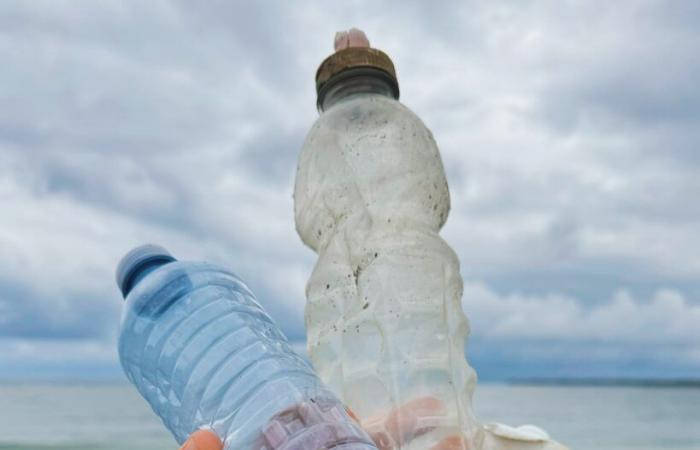 Une conférence sur la pollution plastique sera présentée