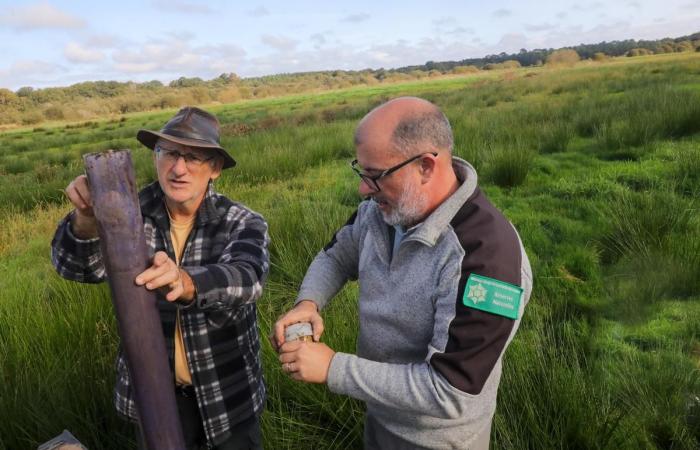 une étude pour sonder les profondeurs du marais d’Orx, potentiel puits de carbone