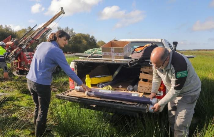 une étude pour sonder les profondeurs du marais d’Orx, potentiel puits de carbone