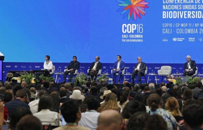 La COP16 biodiversité se termine à Cali, échec des négociations sur le financement