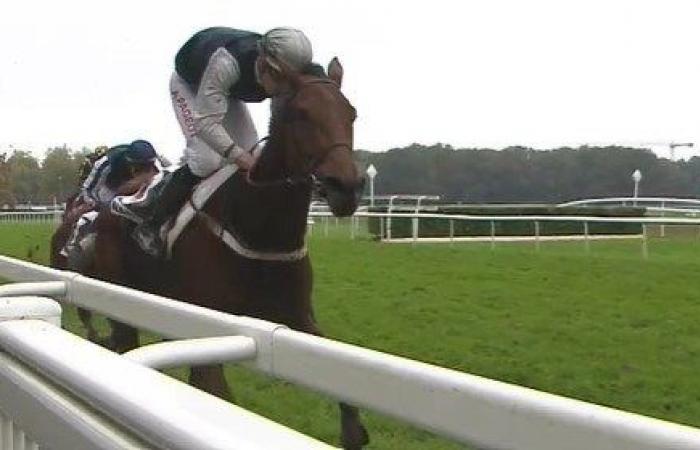 tout sur le meeting du Grand Prix de Nantes Défi du Galop