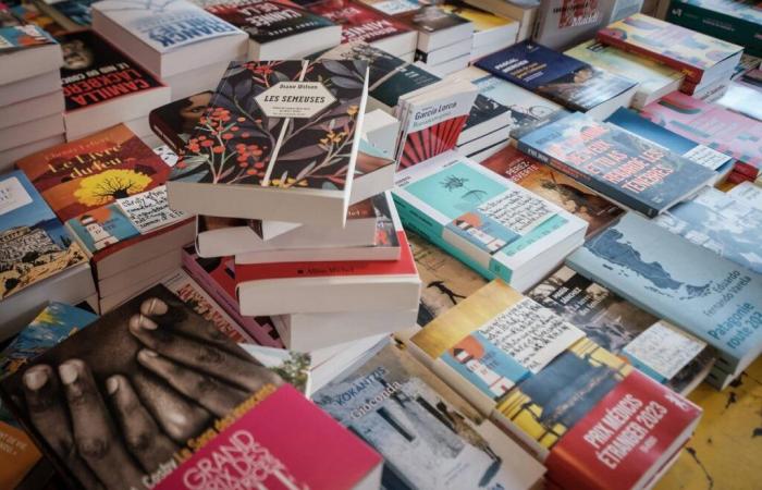 Mazarine Pingeot, Sally Rooney, Gérard de Cortanze, Pascale Dietrich… The selection of “Sud Ouest” books