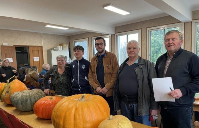 dans cette ville, on élis les plus grosses et les plus belles citrouilles