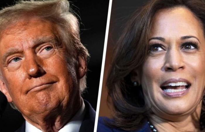 Trump et Harris proposent des messages de clôture sur écran partagé lors des rassemblements en duel à Milwaukee