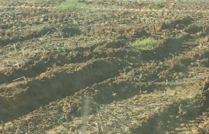 les agriculteurs ne maltraiteront pas leurs terres pour plaire à l’administration !