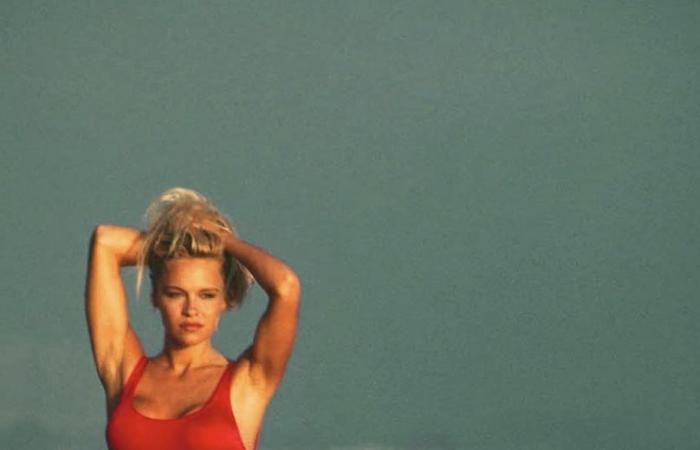 Pamela Anderson, de Baywatch au clafoutis