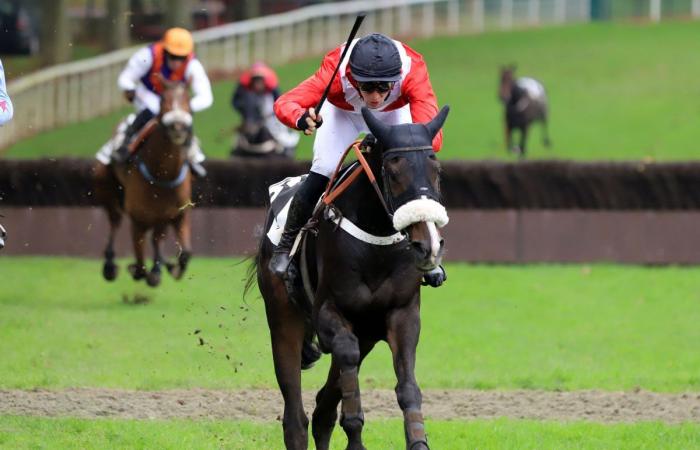 tout sur le meeting du Grand Prix de Nantes Défi du Galop