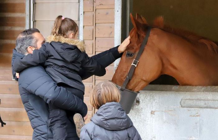 tout sur le meeting du Grand Prix de Nantes Défi du Galop