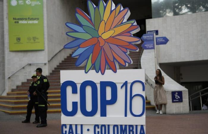 Les résultats de la COP16 sur la biodiversité se précisent à Cali