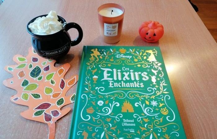 [Critique livre] Gastronogeek : les élixirs enchantés de Disney