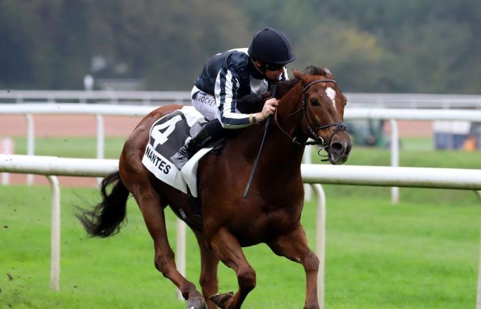 tout sur le meeting du Grand Prix de Nantes Défi du Galop