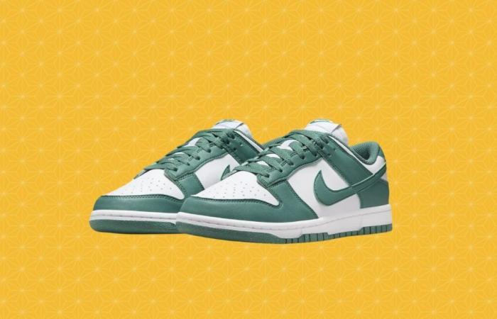 que sont les baskets Dunk Low à prix cassé ?