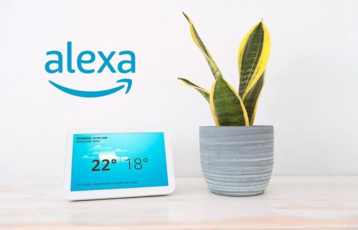 Entre espoirs et retards, Amazon peine à relancer Alexa – Les Alexiens