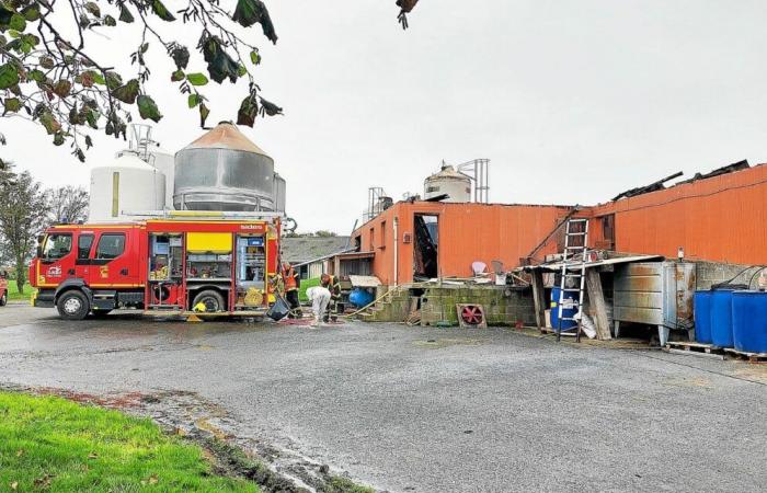 A Lamballe-Armor, 2 000 porcelets et 90 truies meurent dans un incendie dans un bâtiment d’élevage