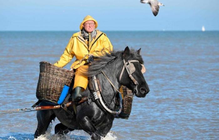 Une commune belge est le « dernier endroit au monde où l’on pêche de cette façon »