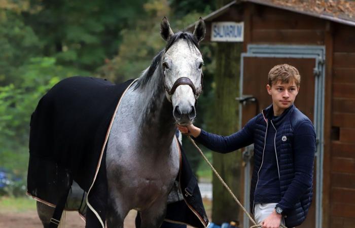 tout sur le meeting du Grand Prix de Nantes Défi du Galop