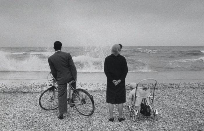 la photographie est racontée en trois livres à découvrir absolument