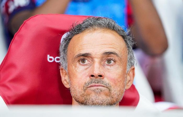 Trois renforts arrivent pour Luis Enrique !