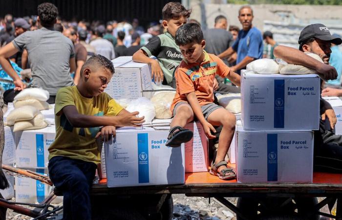 Quel impact les nouvelles lois israéliennes ont-elles sur les activités de l’UNRWA ?