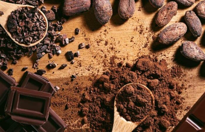 le chocolat sous toutes ses formes à Agde