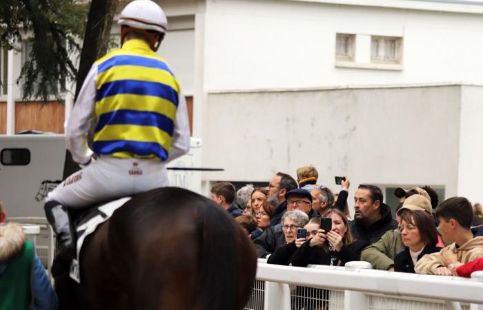 tout sur le meeting du Grand Prix de Nantes Défi du Galop