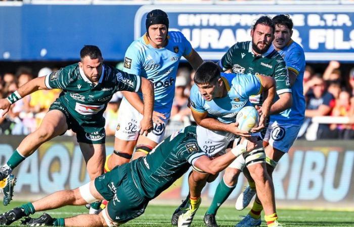 Top 14 – The notes of Perpignan – Vannes: Oviedo punchy, Lafage imprecise