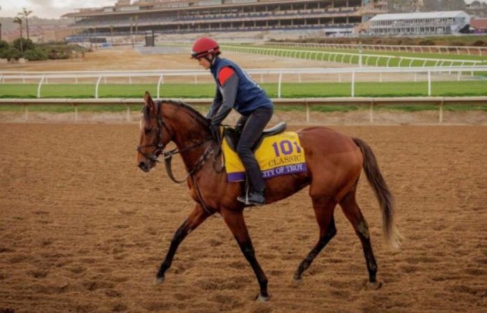 Même pour Aidan O’Brien, battre les Américains sur terre reste un exploit