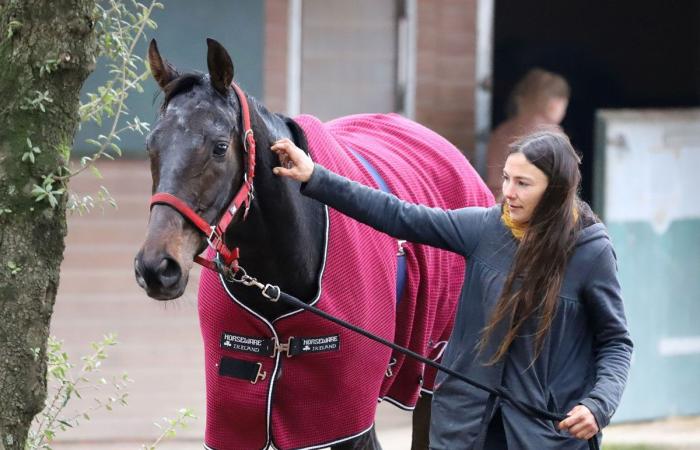 tout sur le meeting du Grand Prix de Nantes Défi du Galop