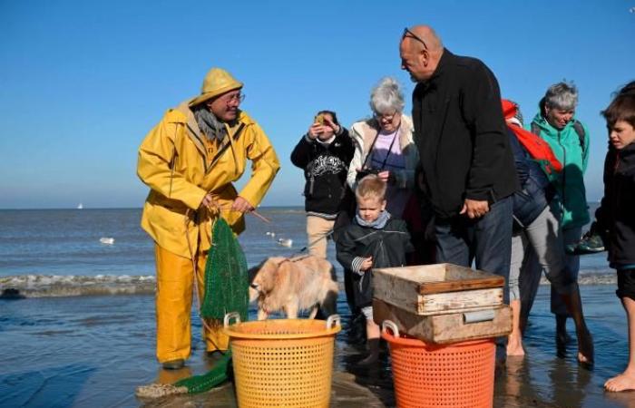 « C’est le dernier endroit au monde où nous faisons cela ! » ” (vidéo)