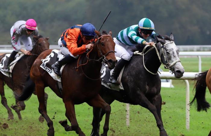 tout sur le meeting du Grand Prix de Nantes Défi du Galop