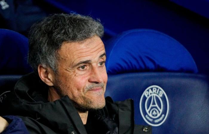 Marché : le PSG est « un phénomène » !