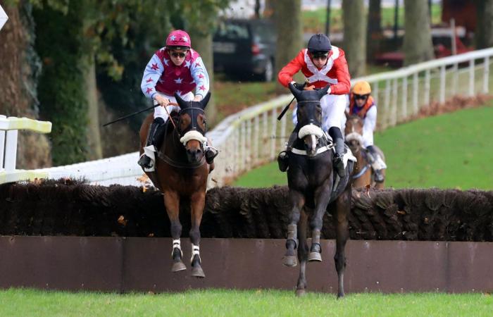 tout sur le meeting du Grand Prix de Nantes Défi du Galop